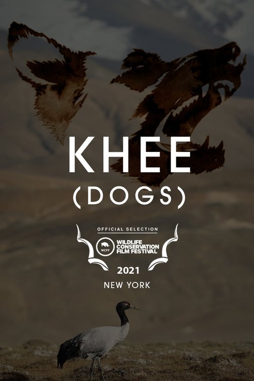 Dogs